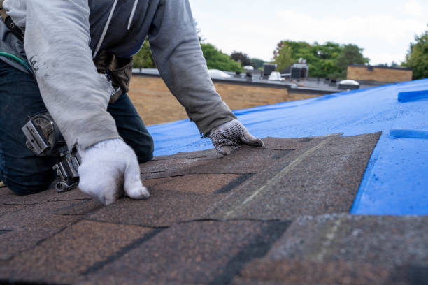 Quick and Trustworthy Emergency Roof Repair Services in Larimore, ND