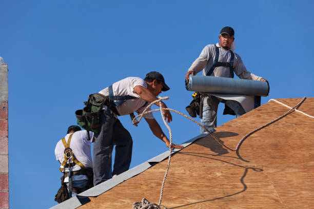 Best Gutter Installation and Roofing  in Larimore, ND