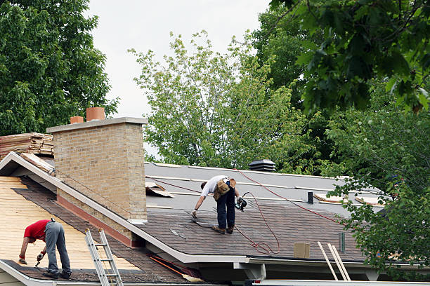 Best Flat Roof Repair Services  in Larimore, ND