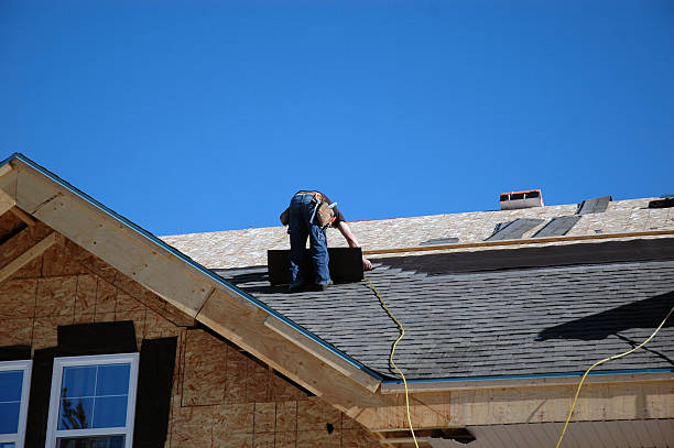 Best Shingle Roofing Installation  in Larimore, ND