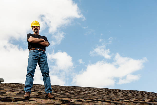 Best Roof Gutter Cleaning  in Larimore, ND
