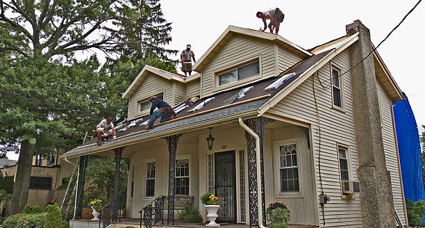 Best Emergency Roof Repair  in Larimore, ND